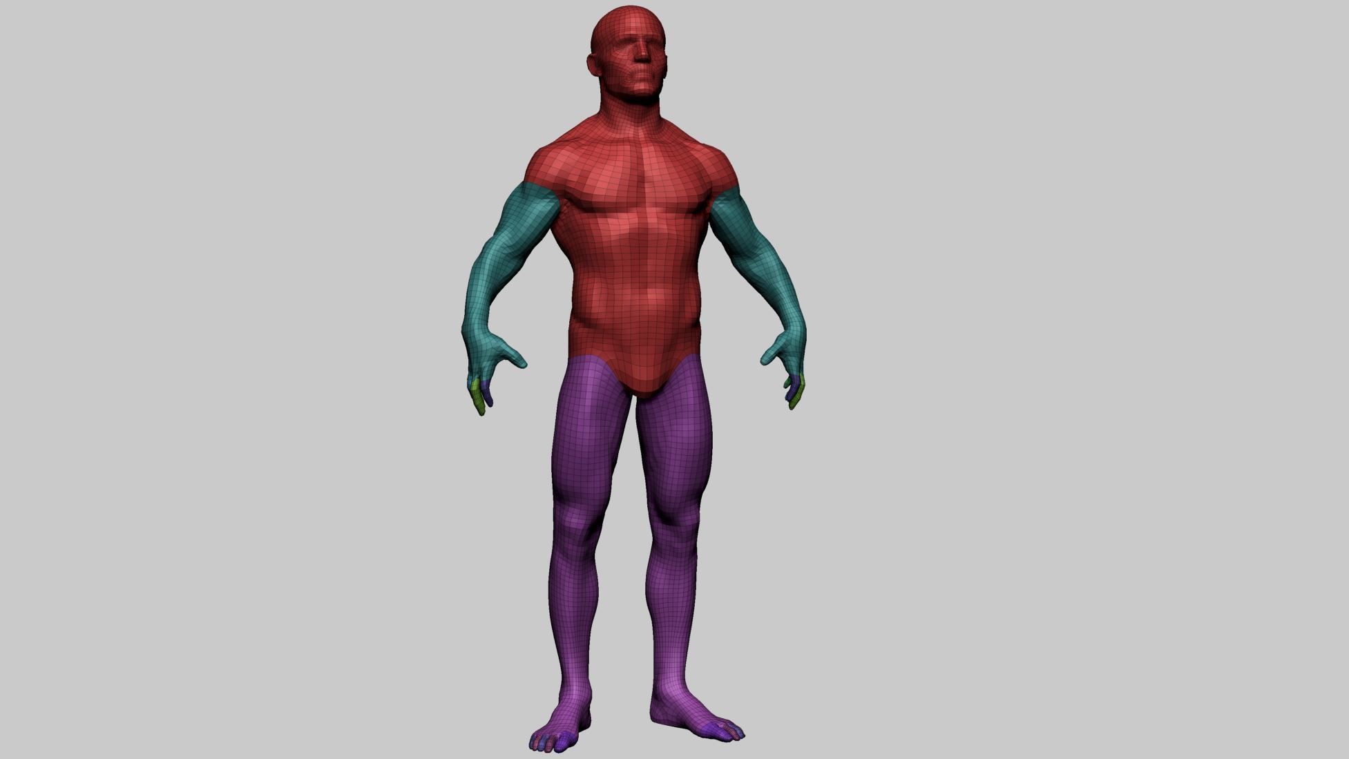 Male Anatomy Basemesh 3D model_3