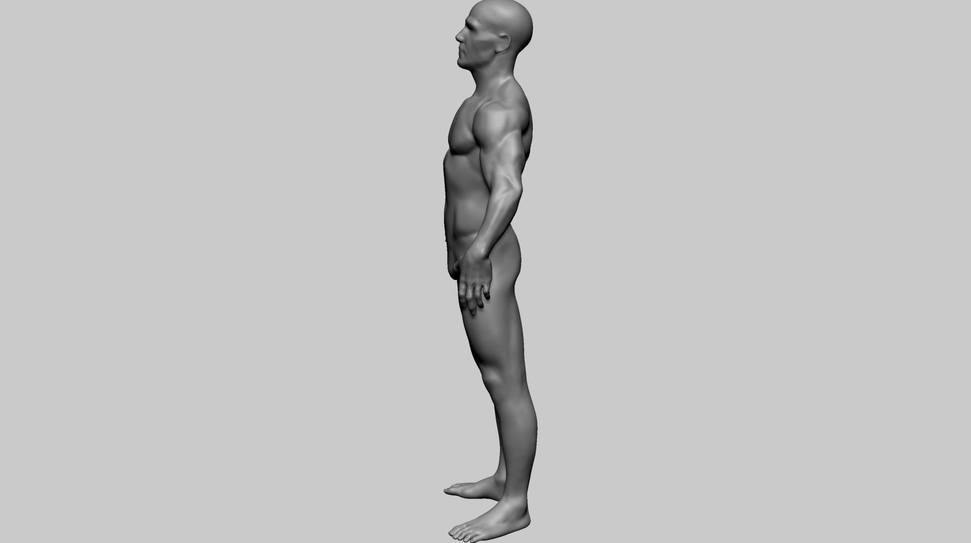 Male Anatomy Basemesh 3D model_7