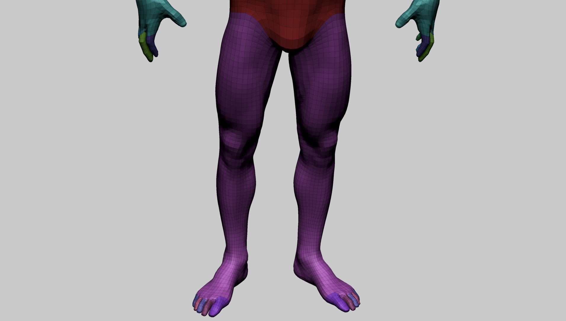 Male Anatomy Basemesh 3D model_13