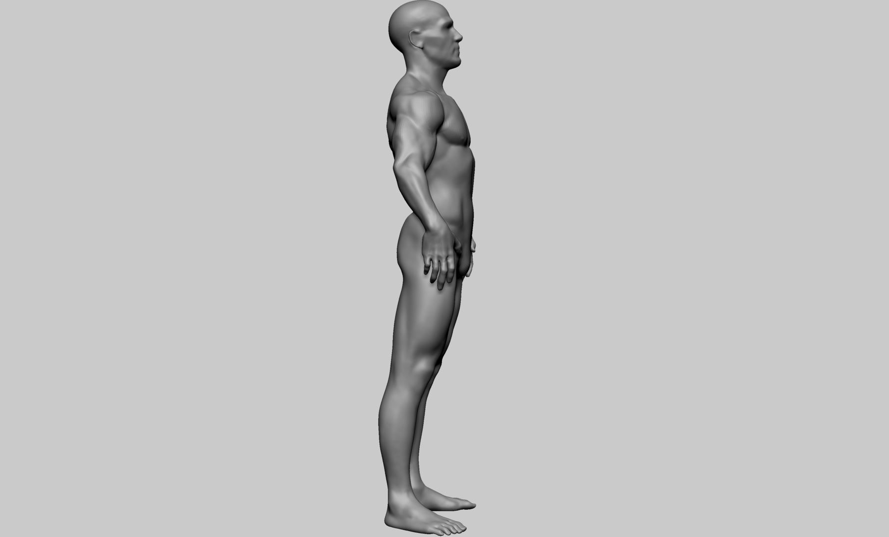 Male Anatomy Basemesh 3D model_4