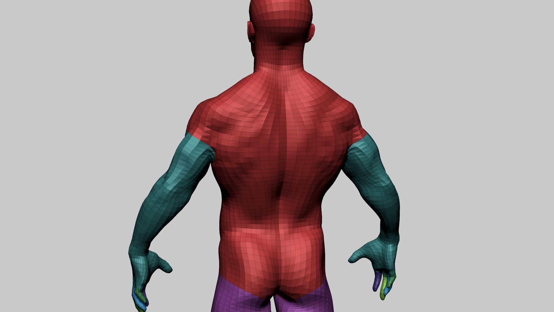 Male Anatomy Basemesh 3D model_12
