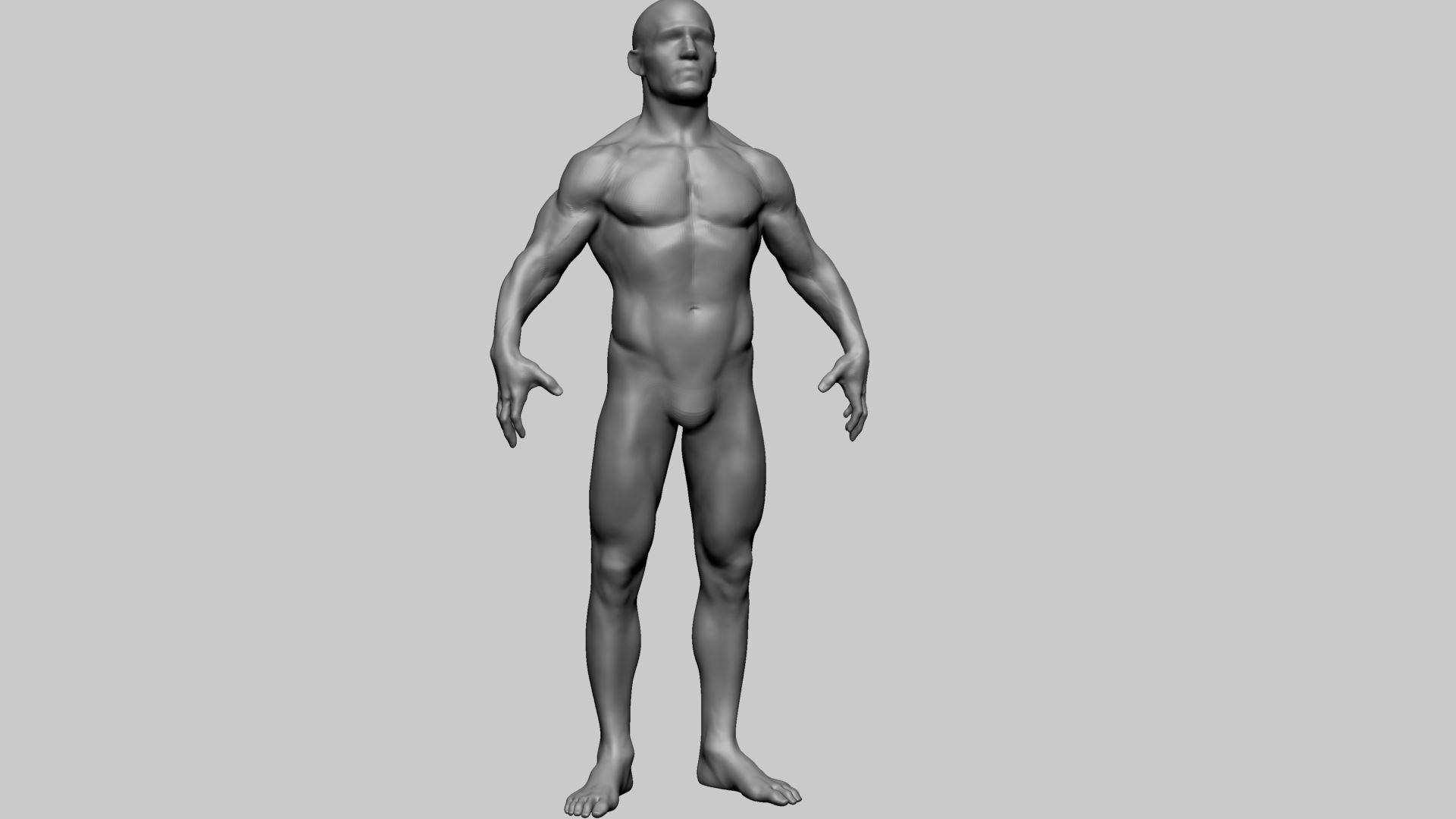 Male Anatomy Basemesh 3D model_1
