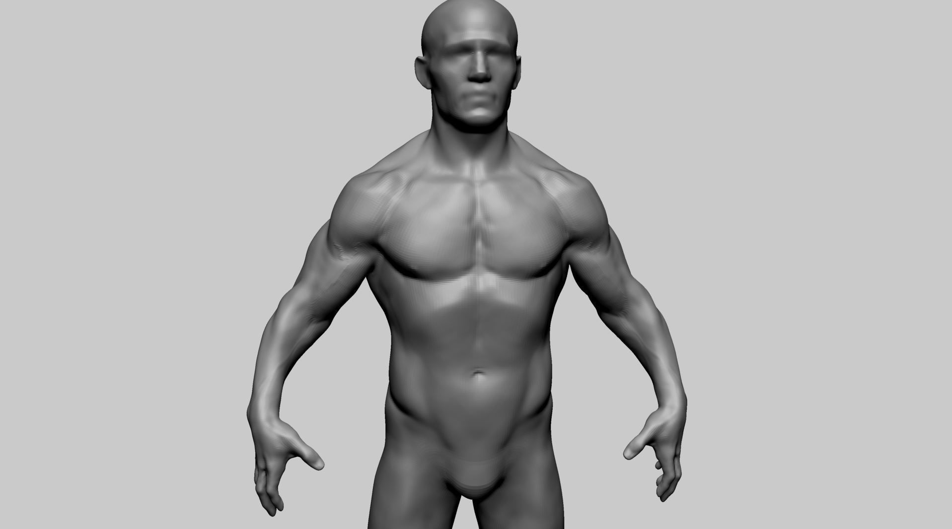 Male Anatomy Basemesh 3D model_9