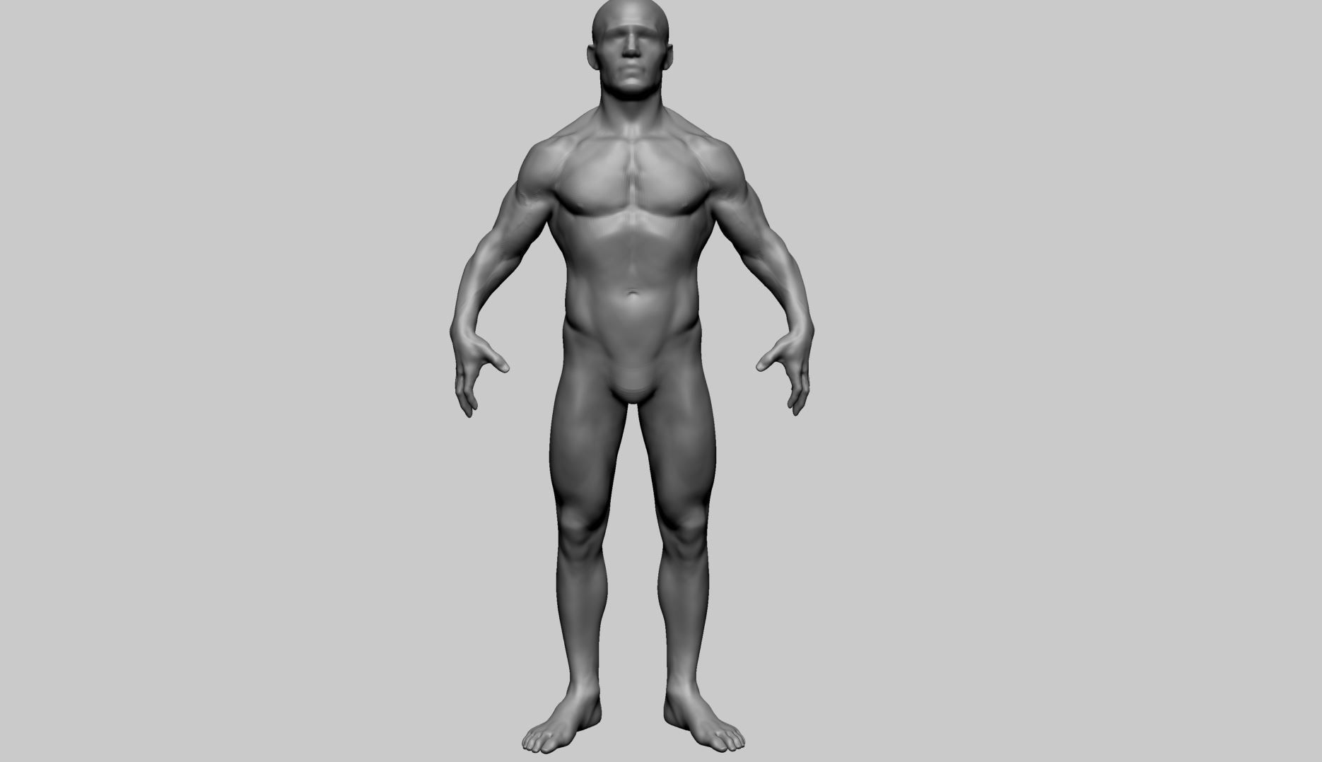 Male Anatomy Basemesh 3D model_8