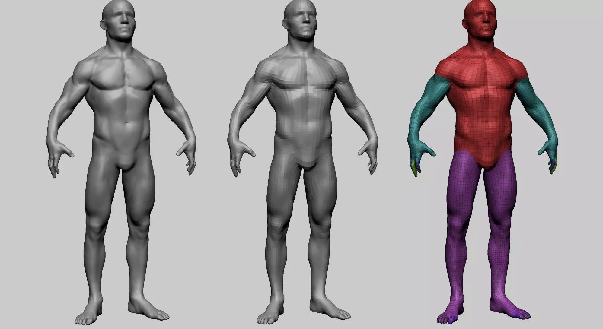 Male Anatomy Basemesh 3D model_0