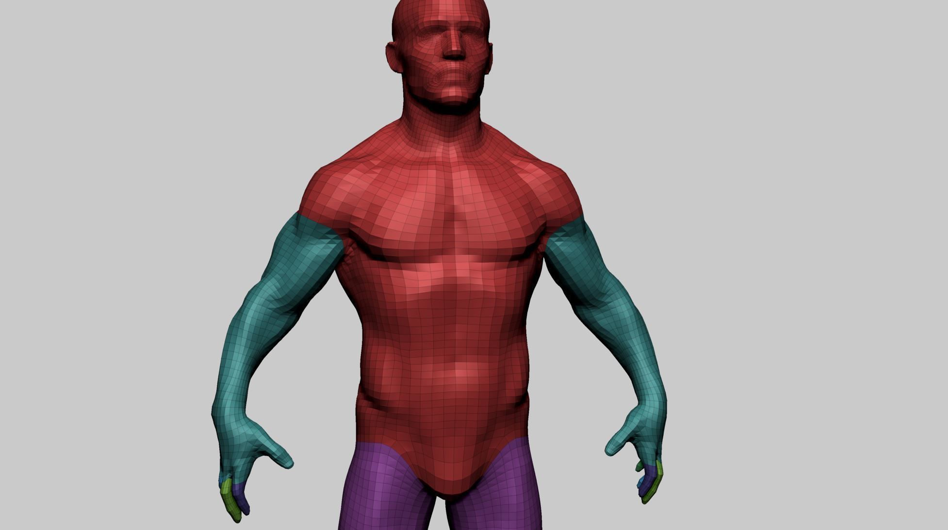 Male Anatomy Basemesh 3D model_11