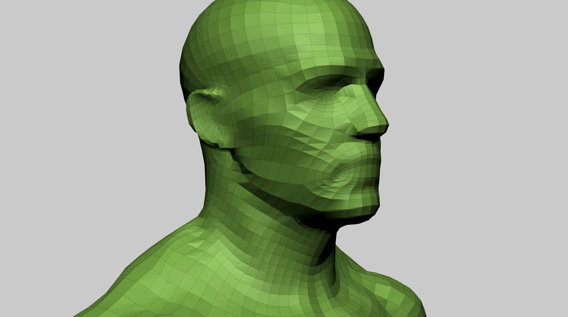 Male Anatomy Basemesh 3D model_15