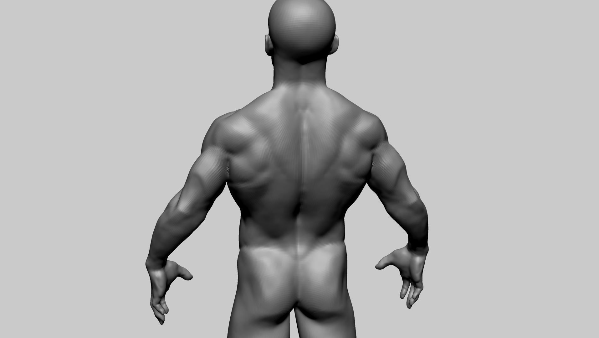 Male Anatomy Basemesh 3D model_10
