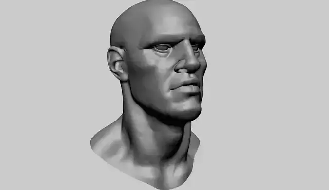 Stylized Male Head E 3D model