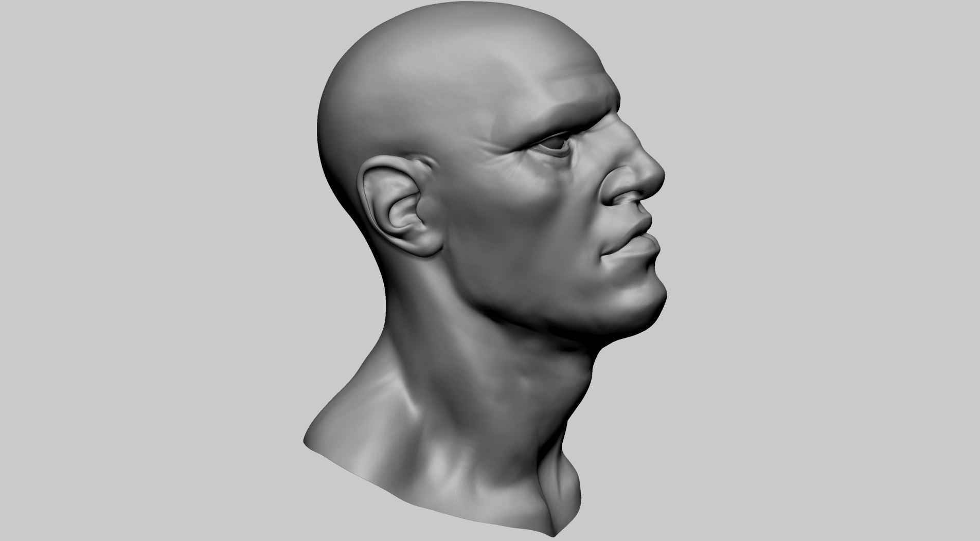 Stylized Male Head E 3D model_1