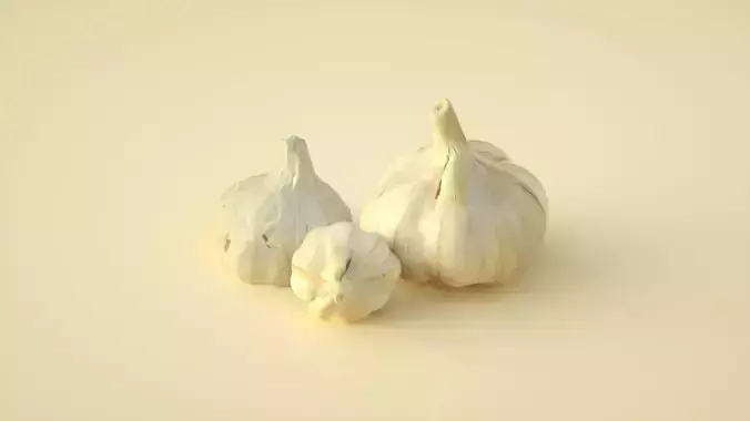 garlic garlic garlic sprouts