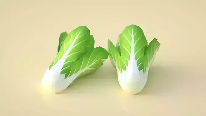 chinese cabbage cabbage vegetables