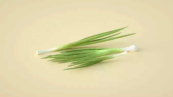 Shallots Shallots Green onions Chives Chives