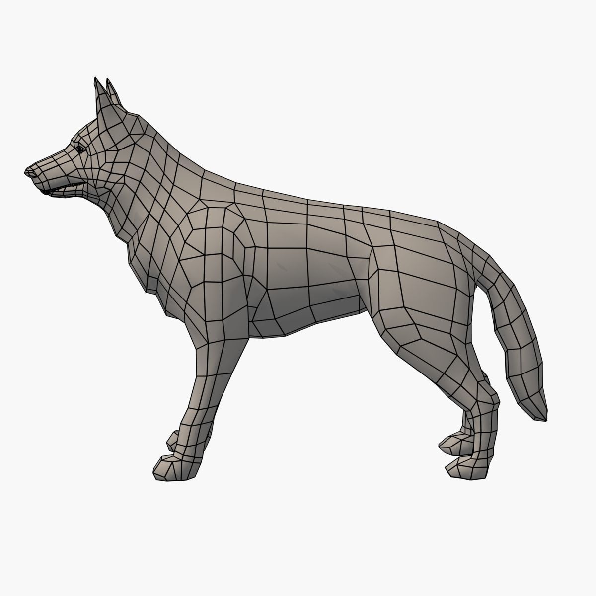 German Shepherd Low-poly 3D model_14