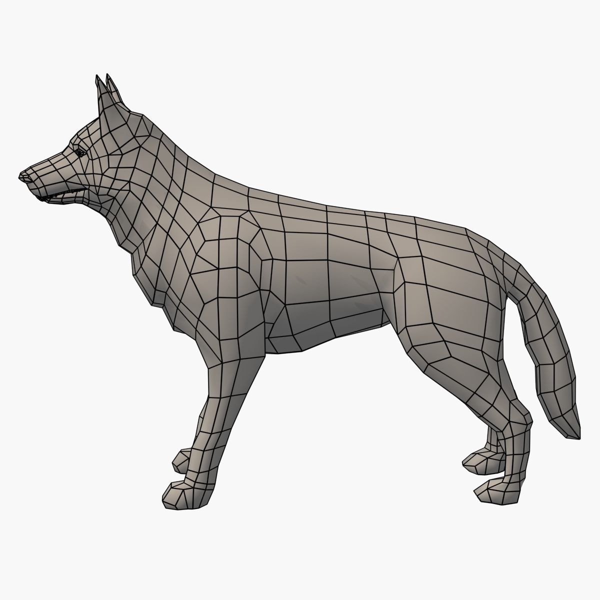German Shepherd Low-poly 3D model_8