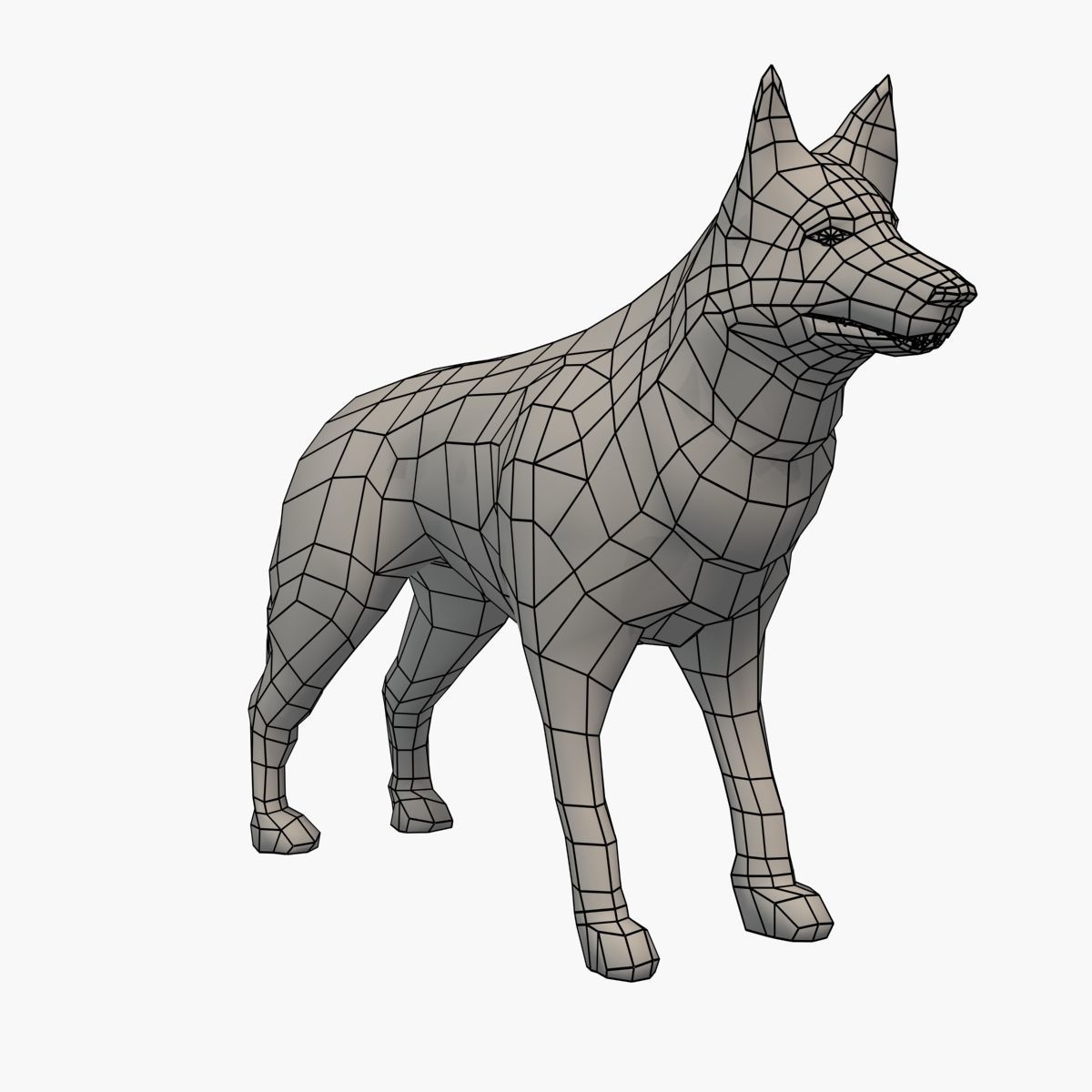 German Shepherd Low-poly 3D model_15