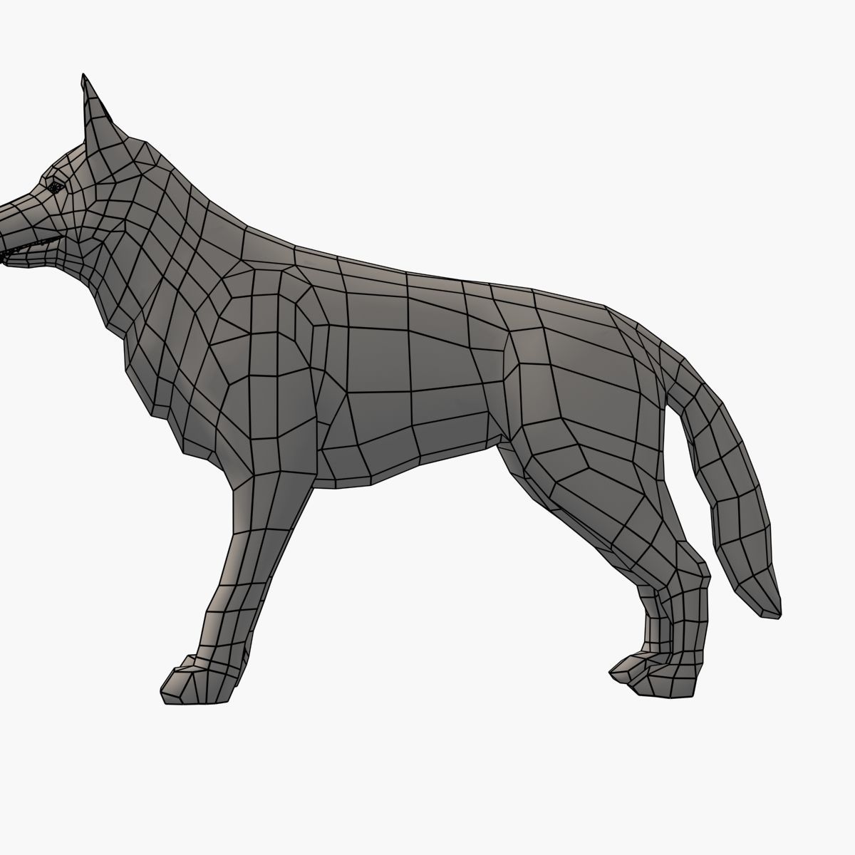 German Shepherd Low-poly 3D model_13