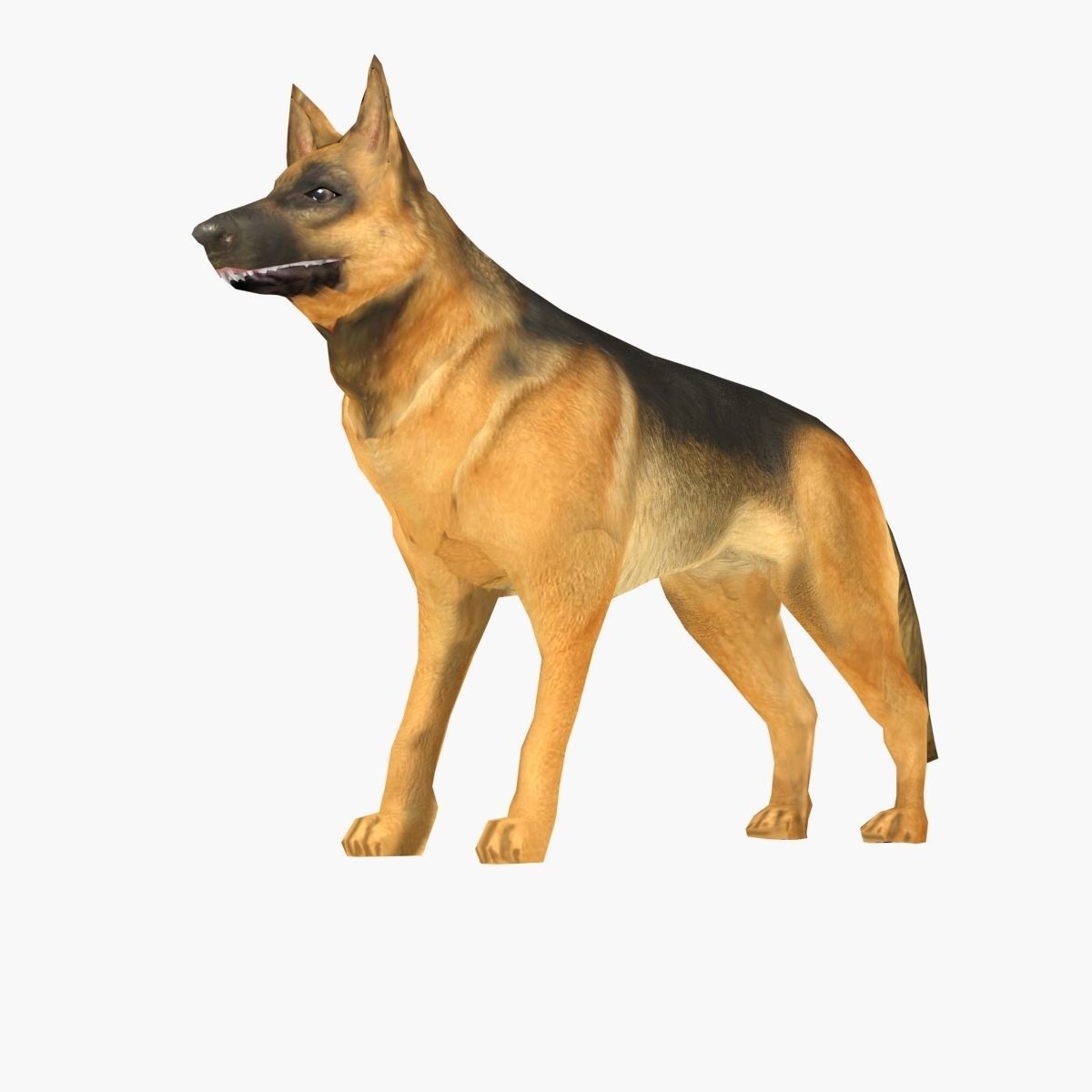 German Shepherd Low-poly 3D model_2