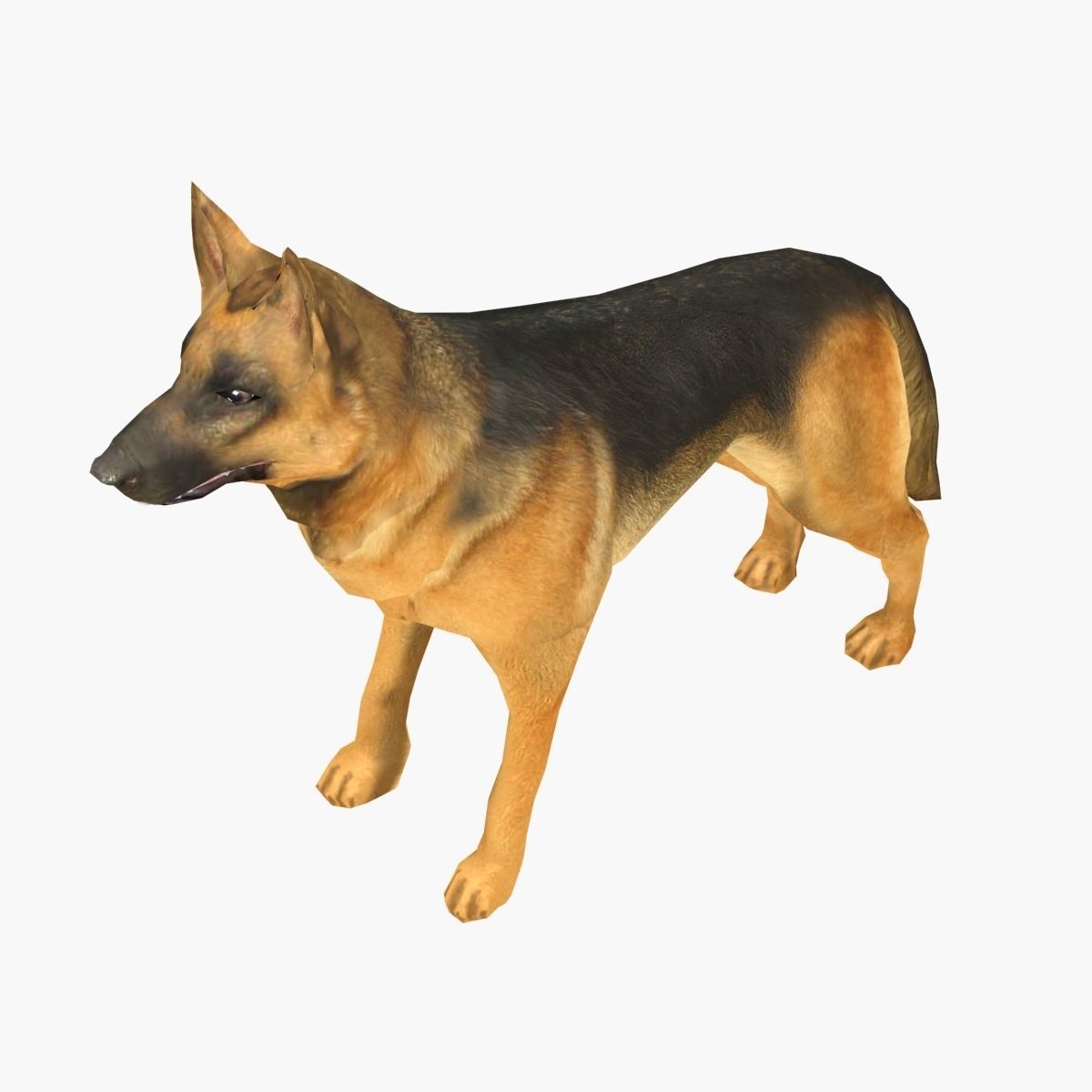 German Shepherd Low-poly 3D model_1