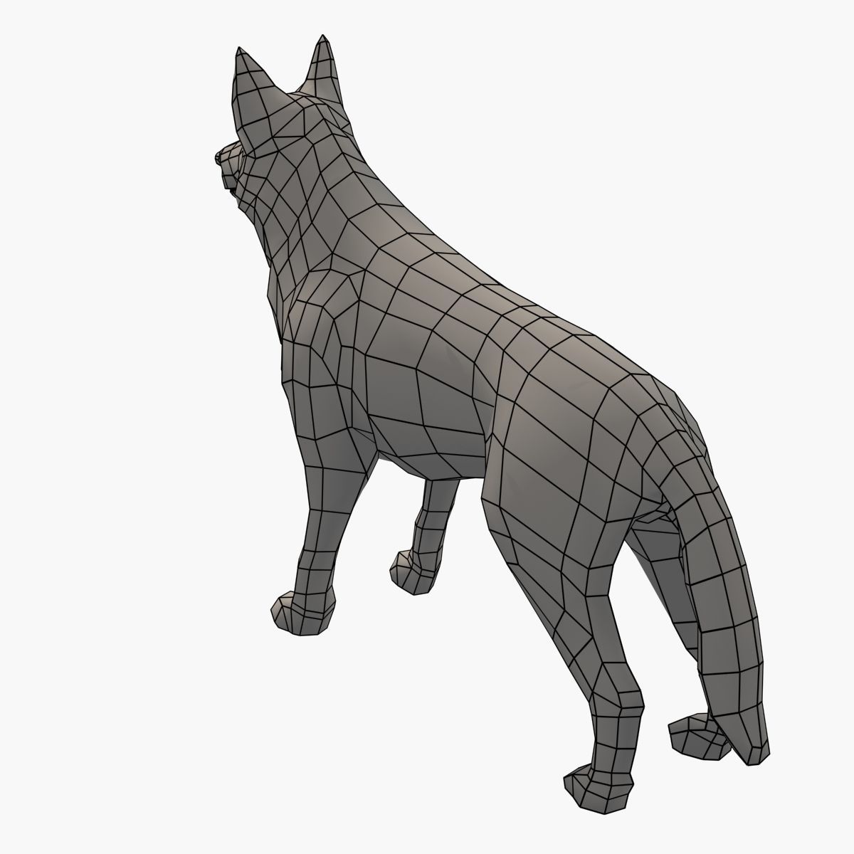 German Shepherd Low-poly 3D model_12
