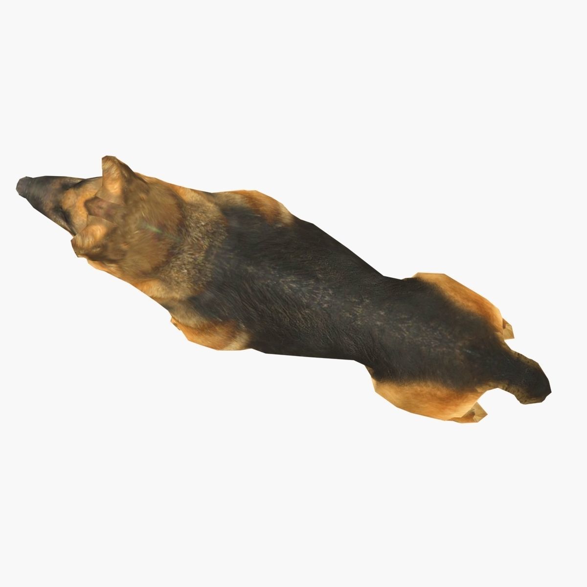 German Shepherd Low-poly 3D model_7