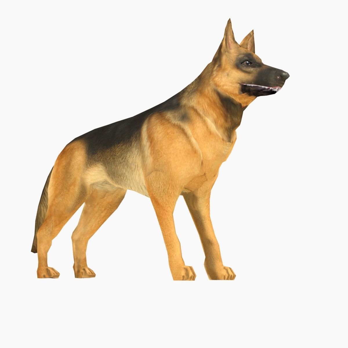 German Shepherd Low-poly 3D model_3