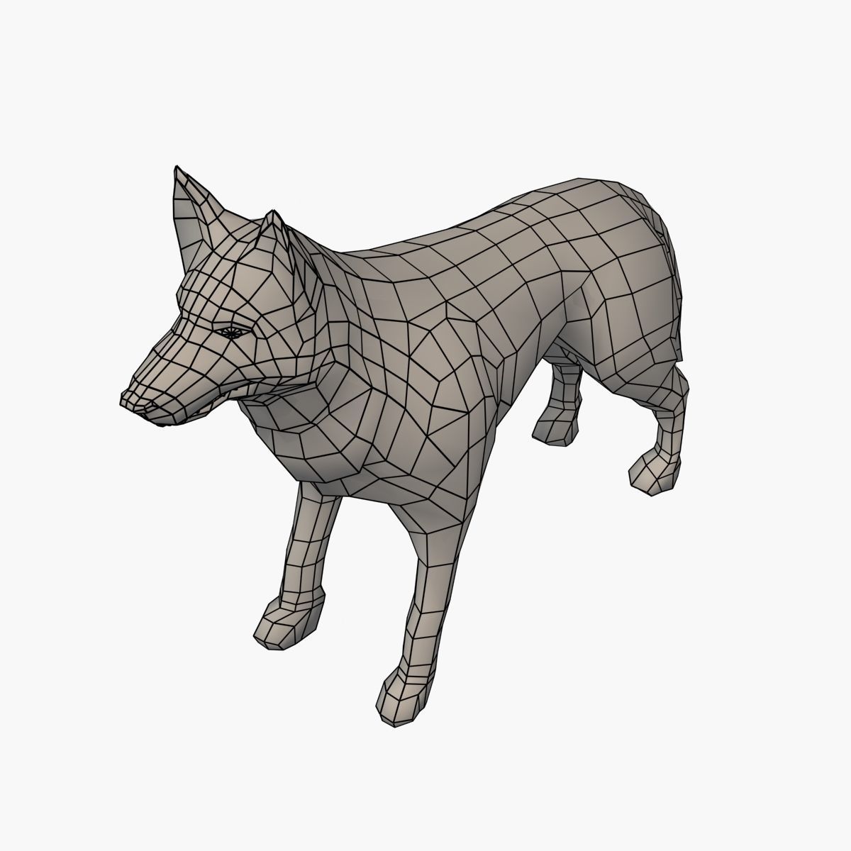 German Shepherd Low-poly 3D model_9