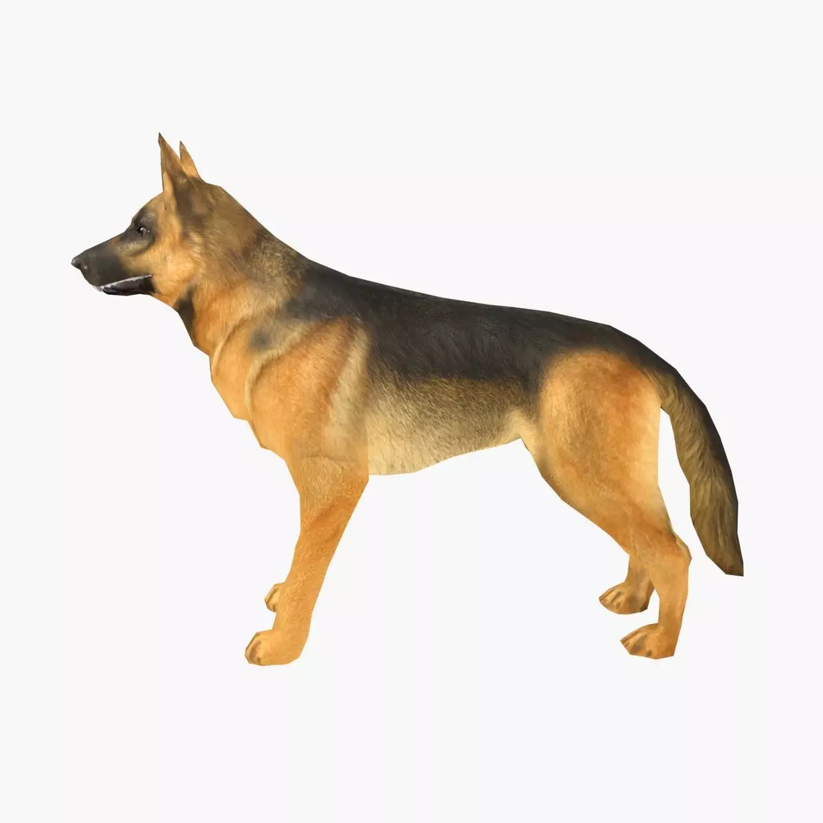 German Shepherd Low-poly 3D model_0