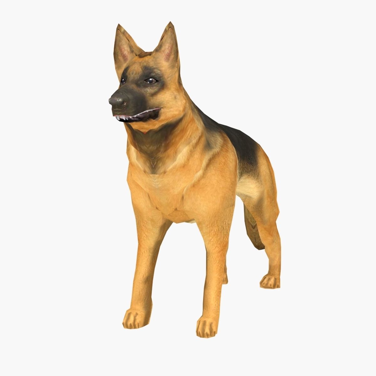 German Shepherd Low-poly 3D model_6
