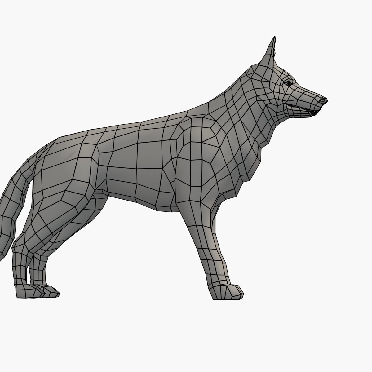 German Shepherd Low-poly 3D model_11