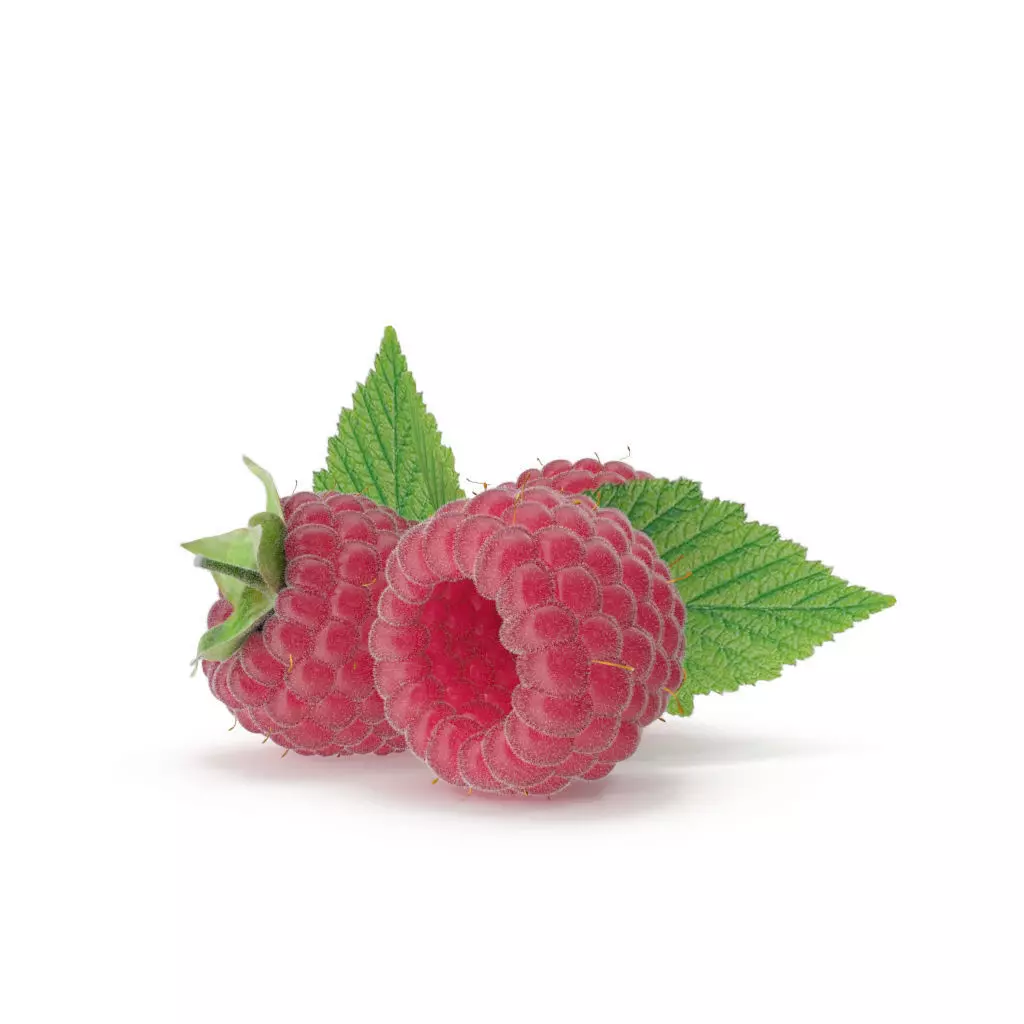 Raspberry three raspberries 3D model_0