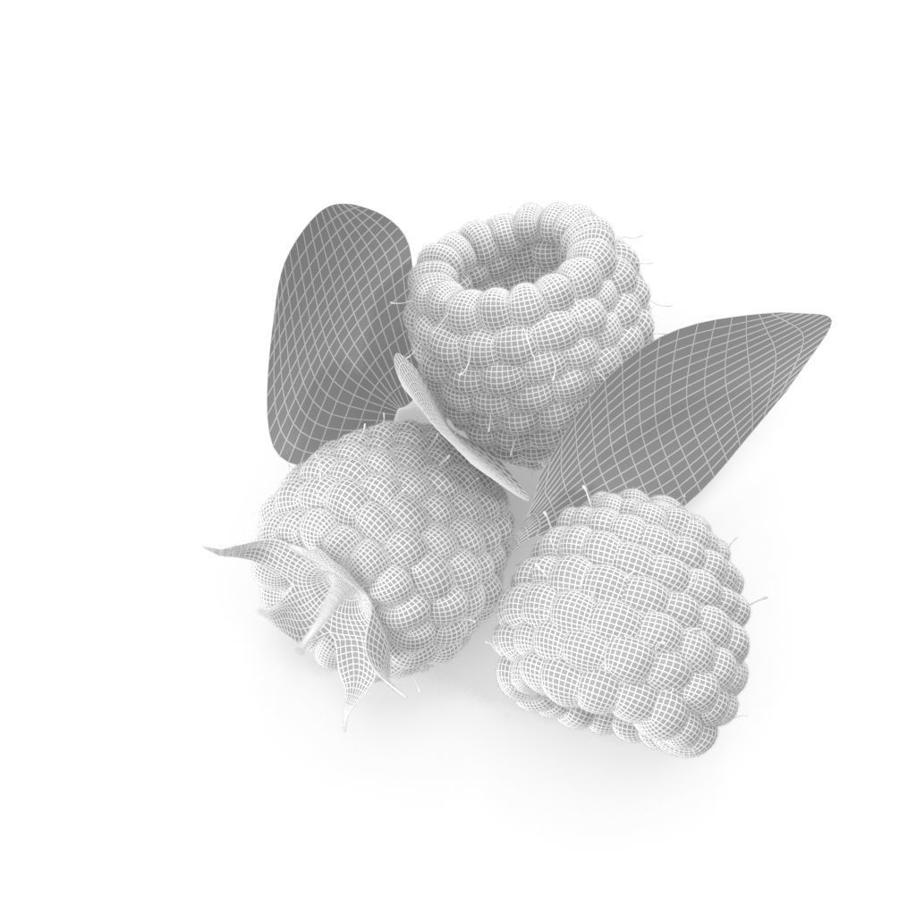 Raspberry three raspberries 3D model_6