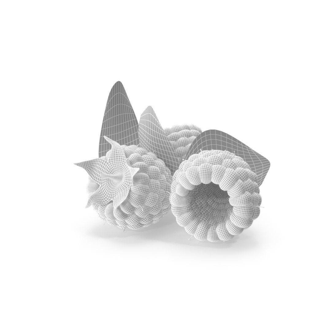 Raspberry three raspberries 3D model_5