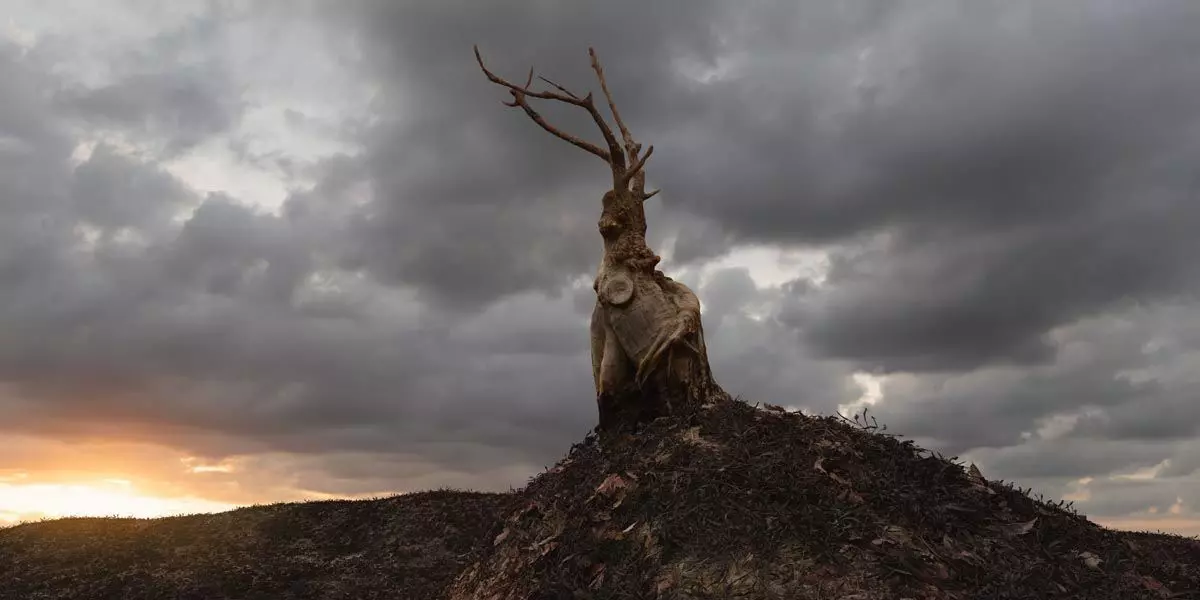 Photorealistic Ficus Ginseng Tree Low-poly 3D model_0