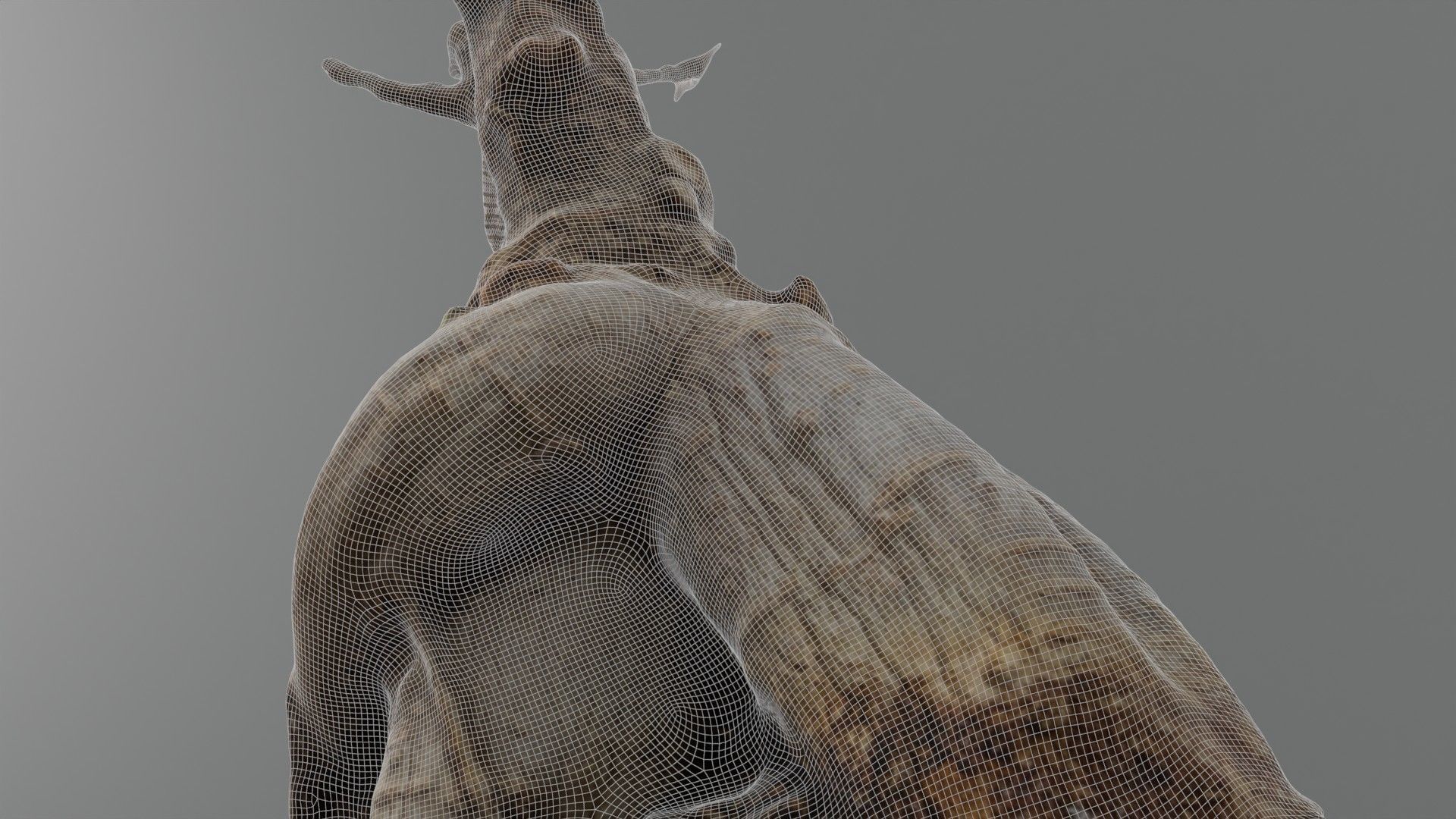 Photorealistic Ficus Ginseng Tree Low-poly 3D model_3