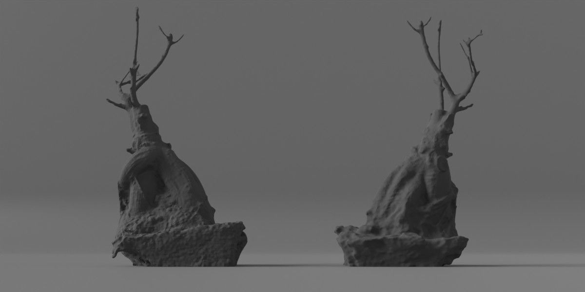 Photorealistic Ficus Ginseng Tree Low-poly 3D model_5