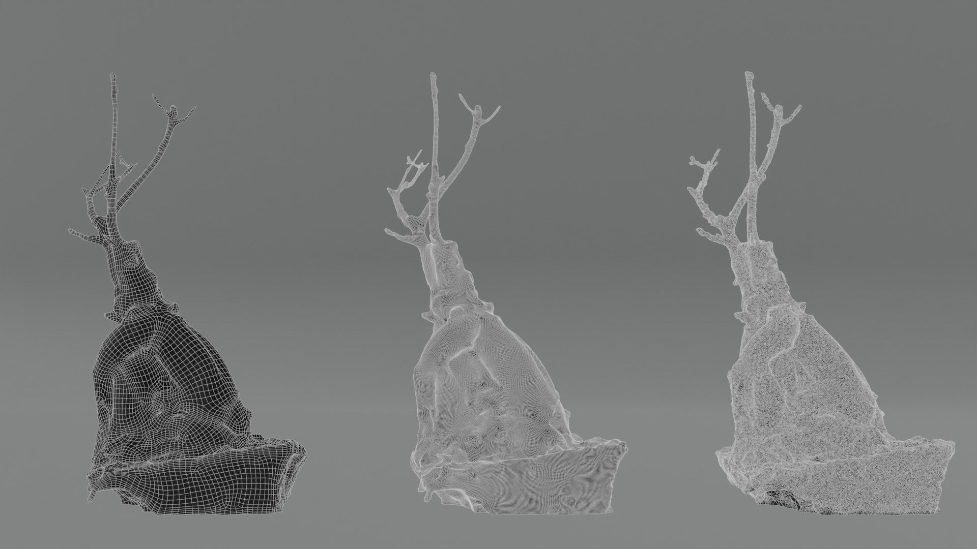 Photorealistic Ficus Ginseng Tree Low-poly 3D model_6