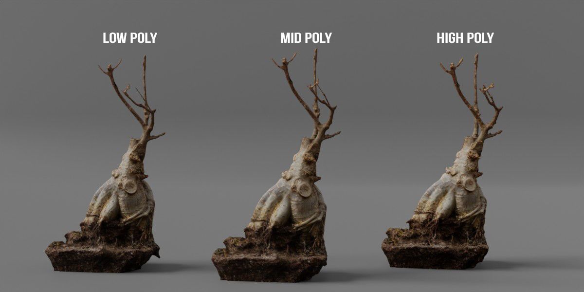 Photorealistic Ficus Ginseng Tree Low-poly 3D model_1