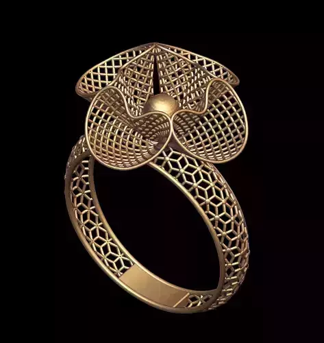 Turkey Ring 03NOKTA MODEL 3D print model