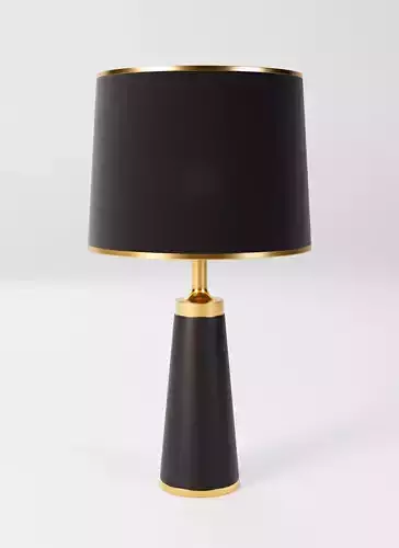 Modern Lamp 3D model