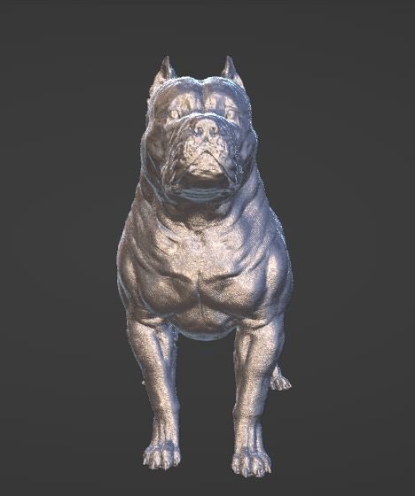 American pit bull terrier model 3D print model_1