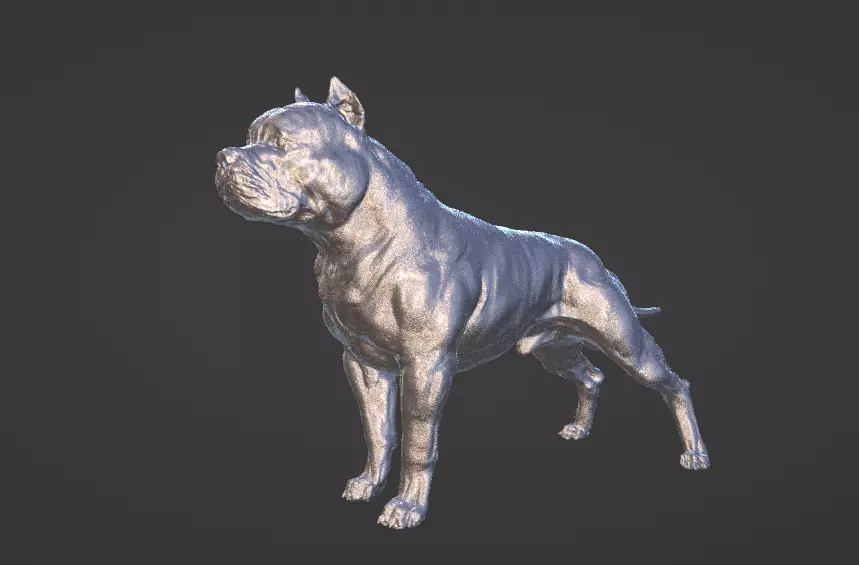 American pit bull terrier model 3D print model_0