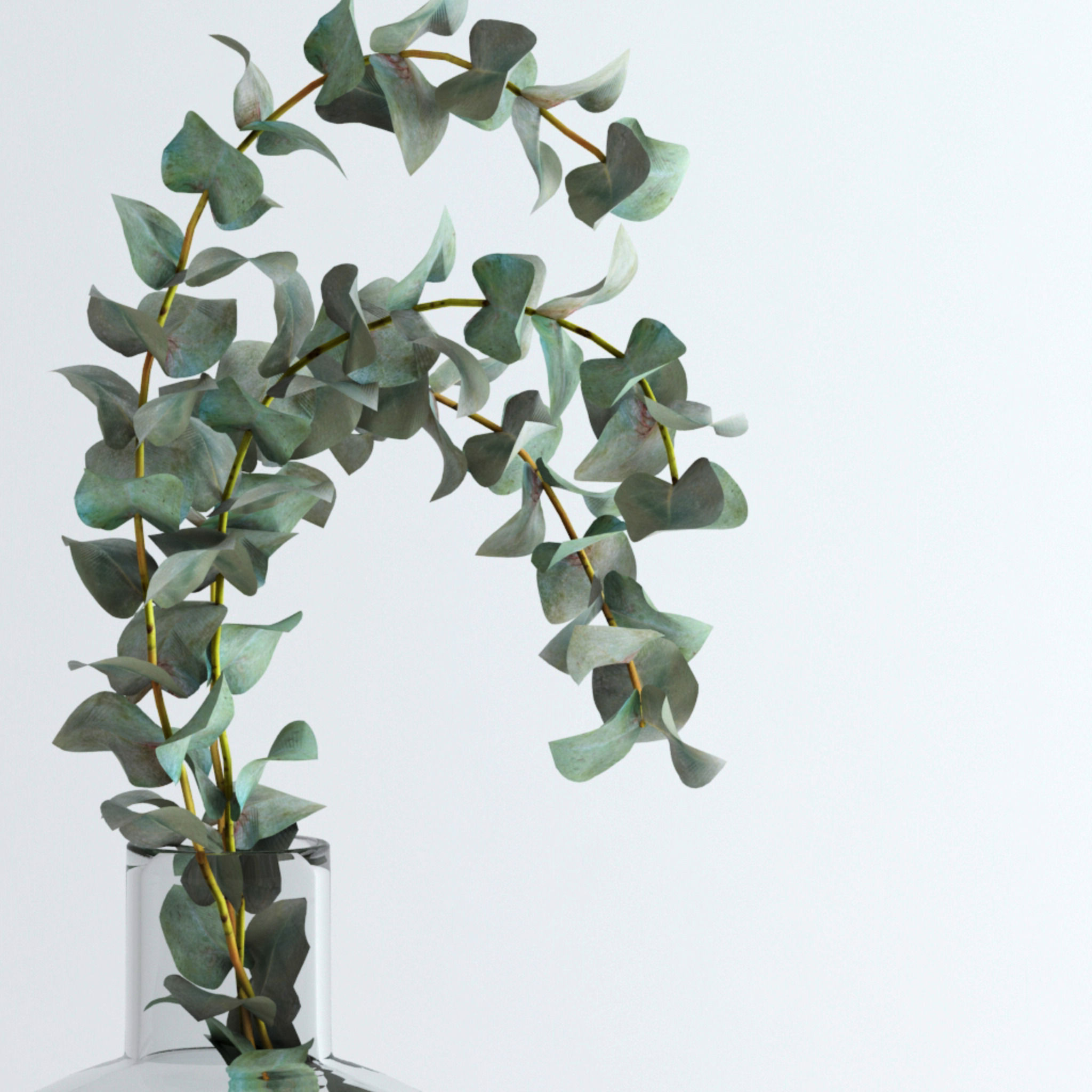 Eucalyptus Set leaves in glass vase 3D model_7