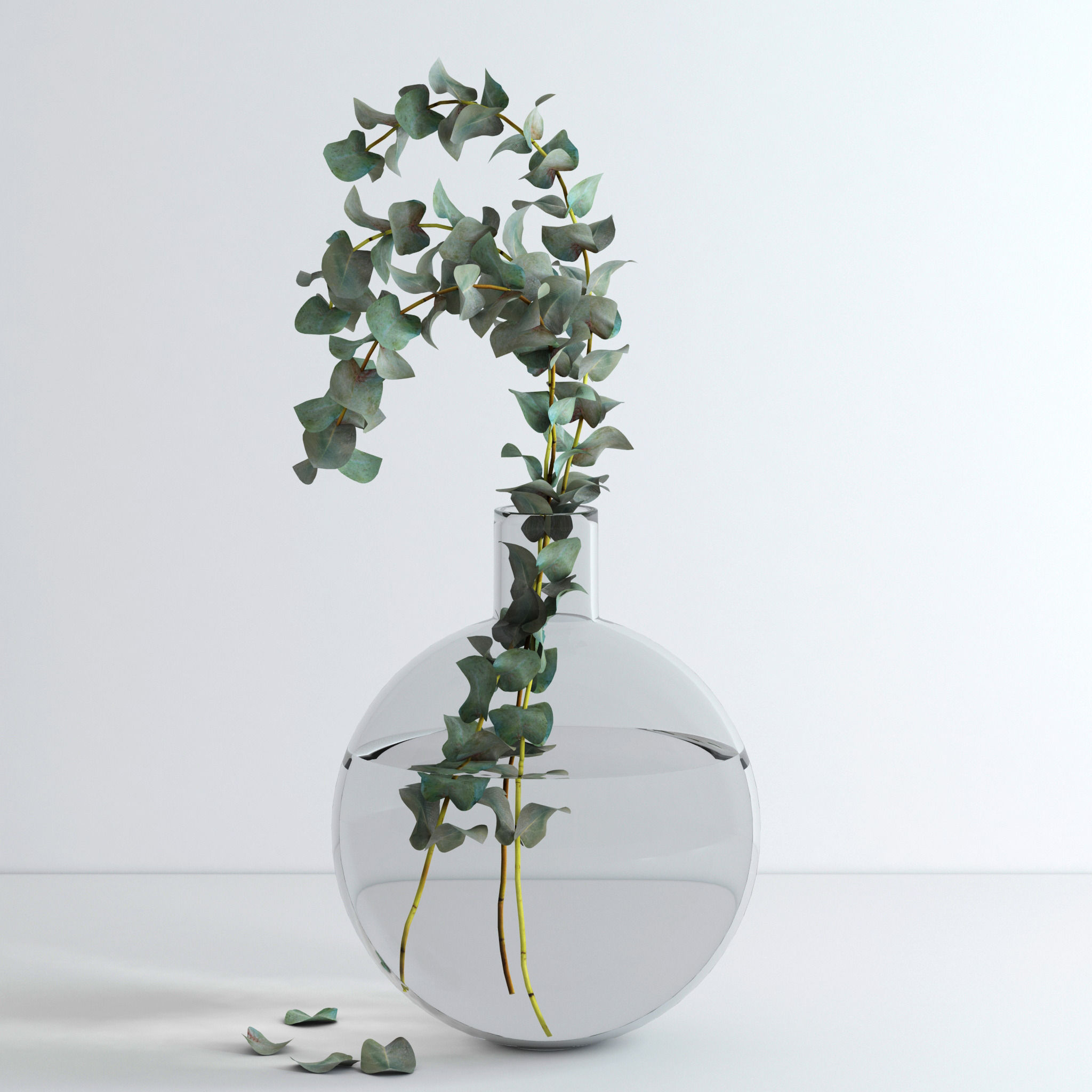 Eucalyptus Set leaves in glass vase 3D model_2