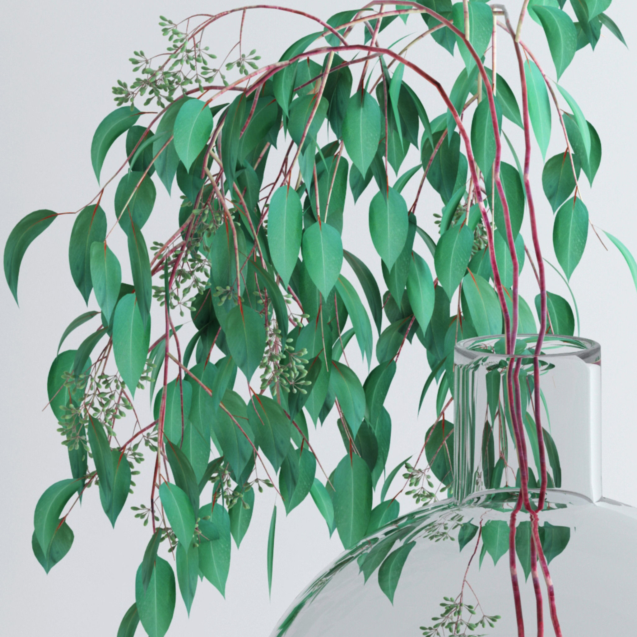 Eucalyptus Set leaves in glass vase 3D model_23