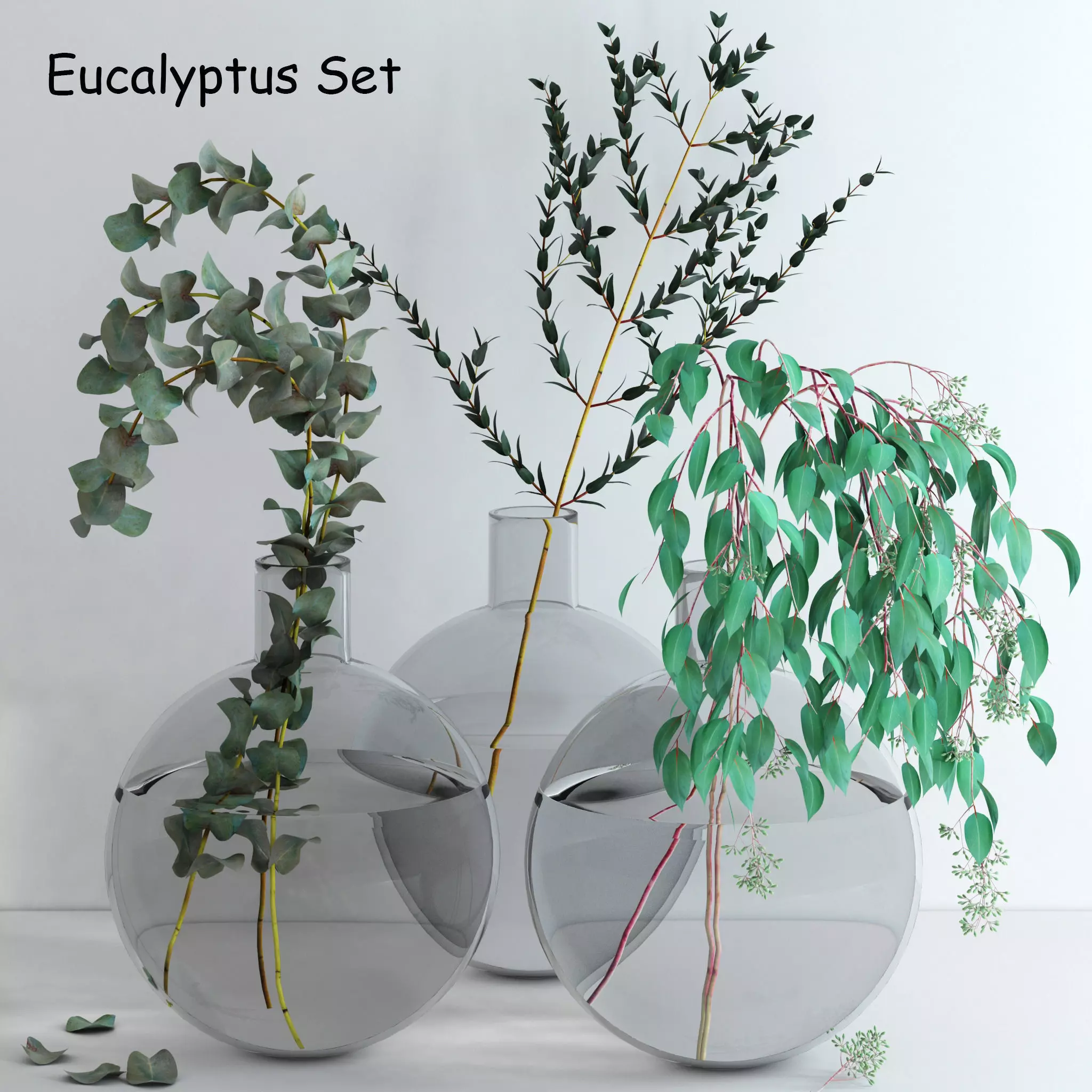 Eucalyptus Set leaves in glass vase 3D model_0