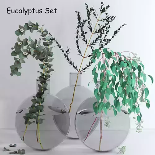 Eucalyptus Set leaves in glass vase 3D model