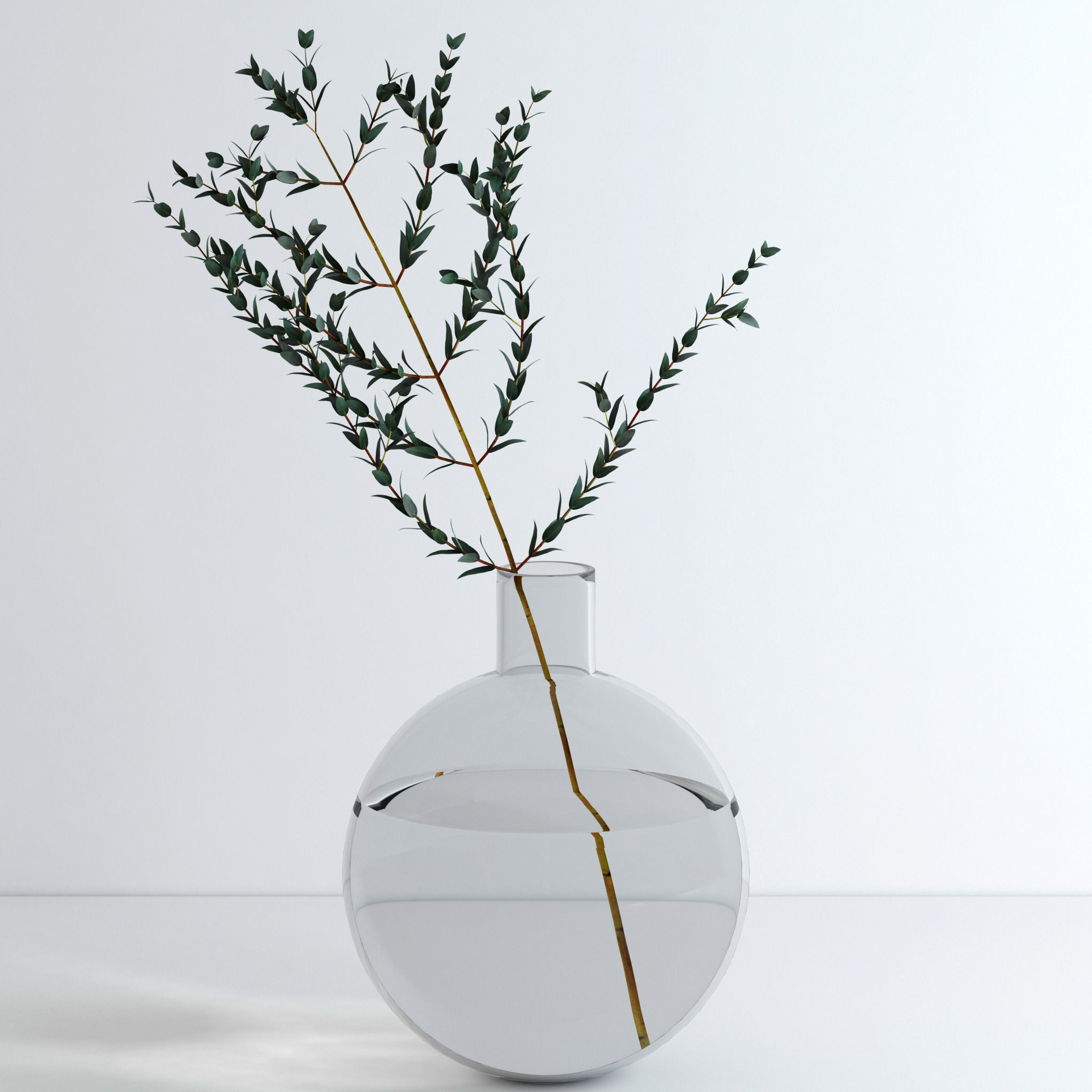 Eucalyptus Set leaves in glass vase 3D model_13