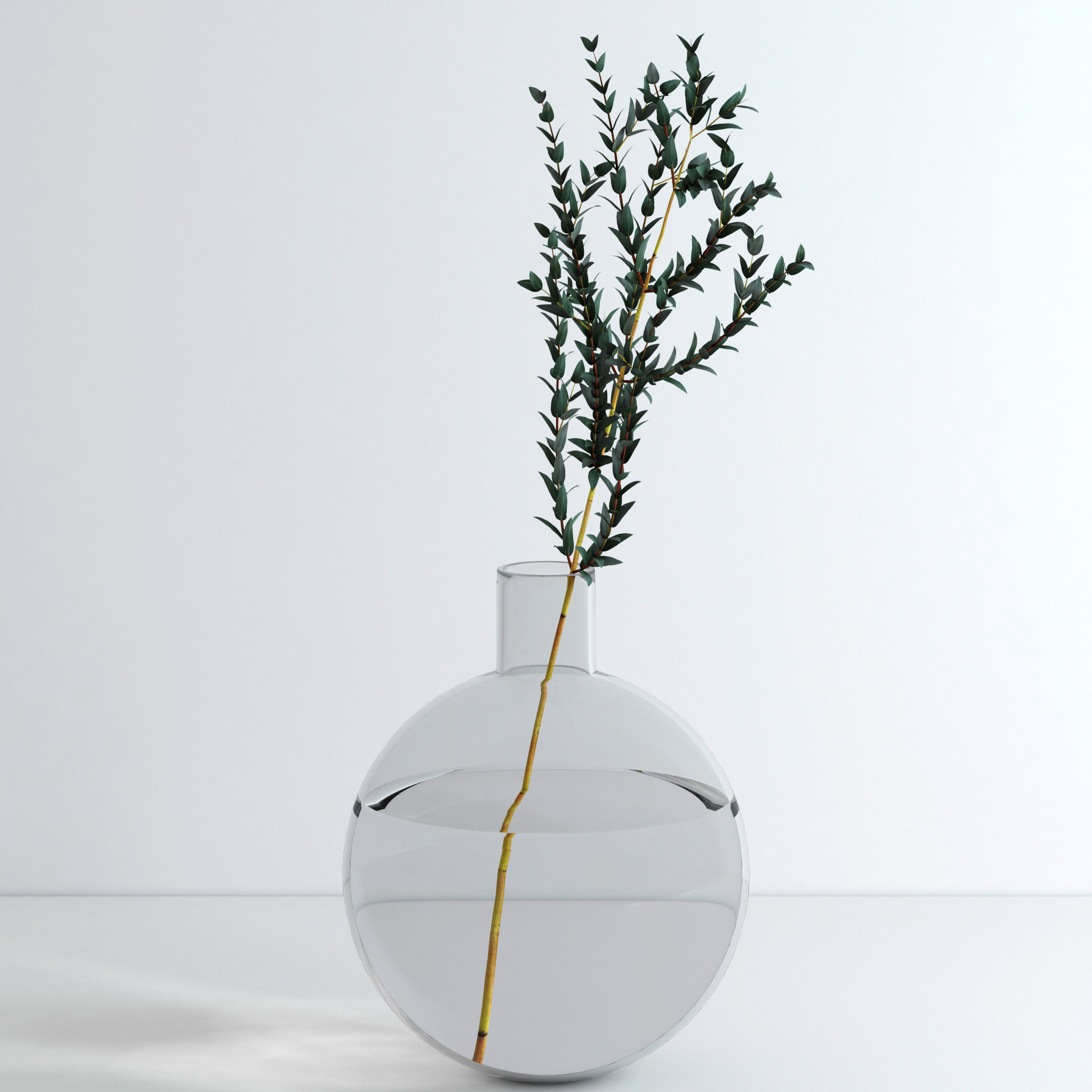 Eucalyptus Set leaves in glass vase 3D model_11