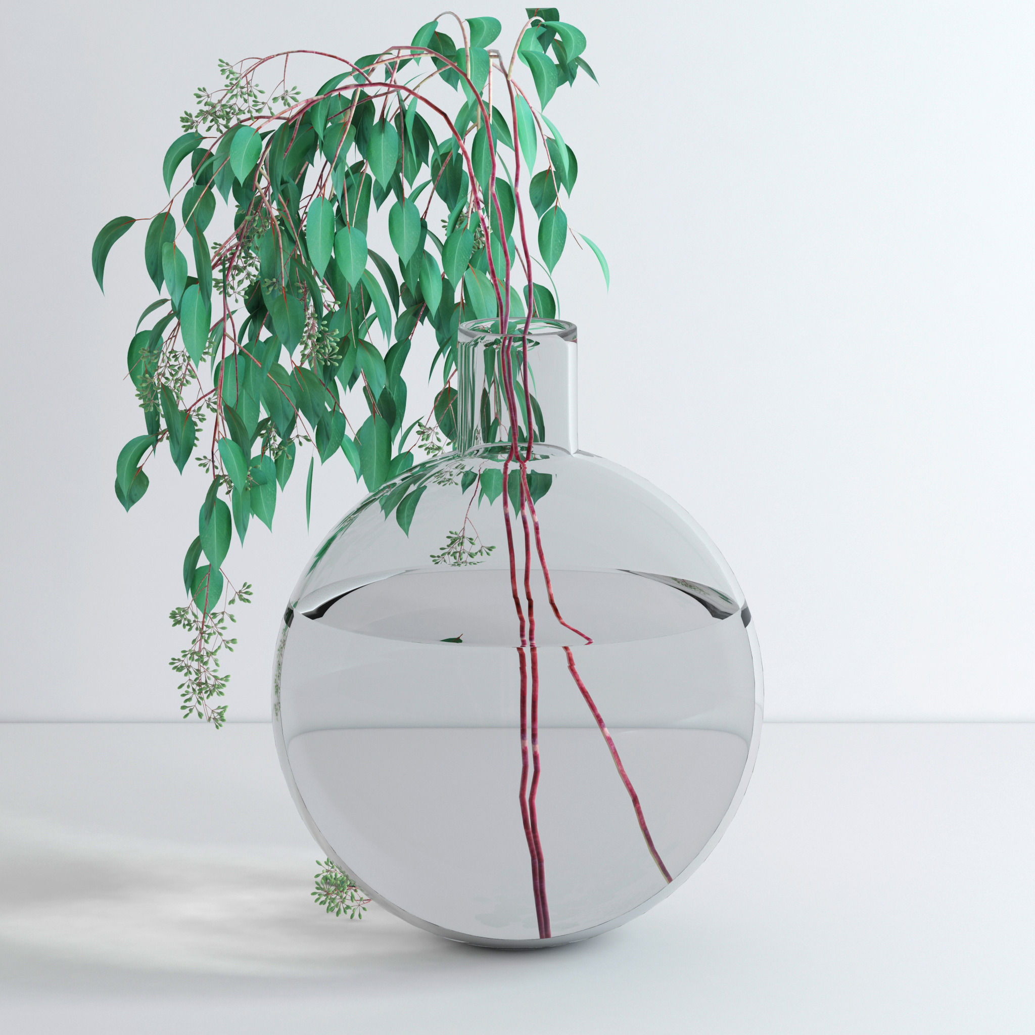 Eucalyptus Set leaves in glass vase 3D model_20